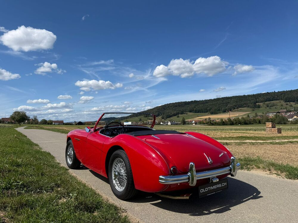 Austin Healey 100/4 BN1 – M-Spezifikation Cabriolet