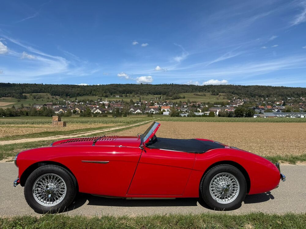 Austin Healey 100/4 BN1 – M-Spezifikation Cabriolet