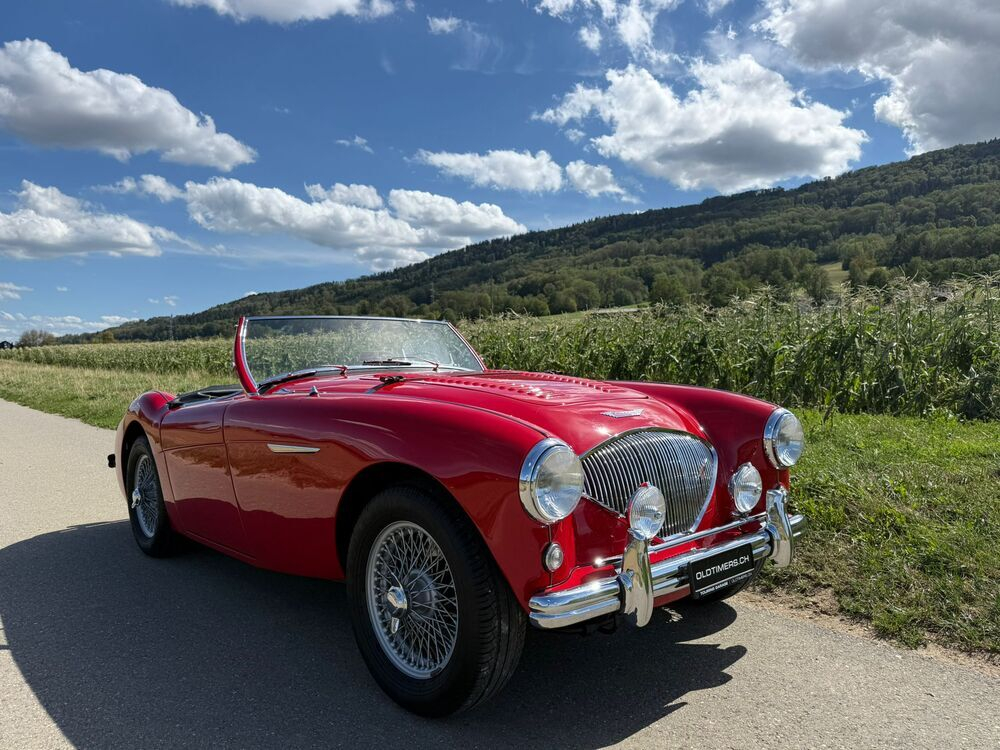 Austin Healey 100/4 BN1 – M-Spezifikation Cabriolet