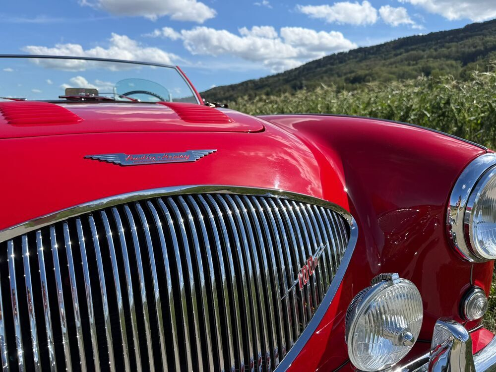 Austin Healey 100/4 BN1 – M-Spezifikation Cabriolet