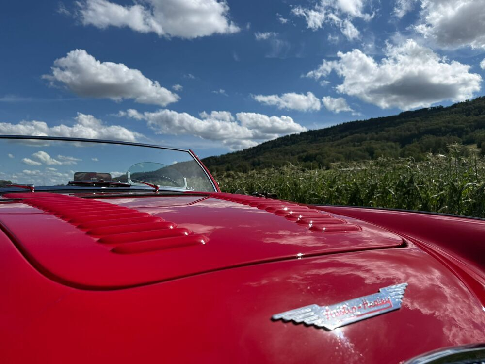 Austin Healey 100/4 BN1 – M-Spezifikation Cabriolet