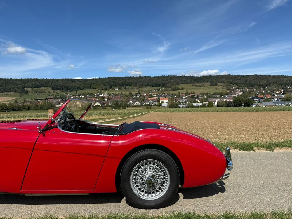 Austin Healey 100/4 BN1 – M-Spezifikation Cabriolet