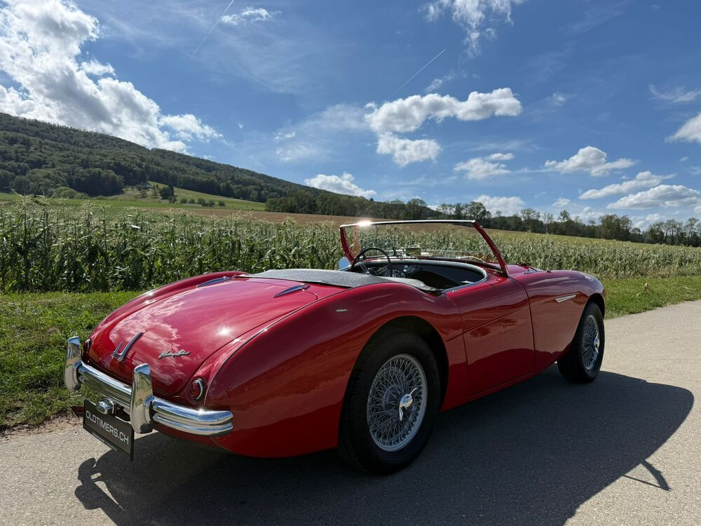 Austin Healey 100/4 BN1 – M-Spezifikation Cabriolet