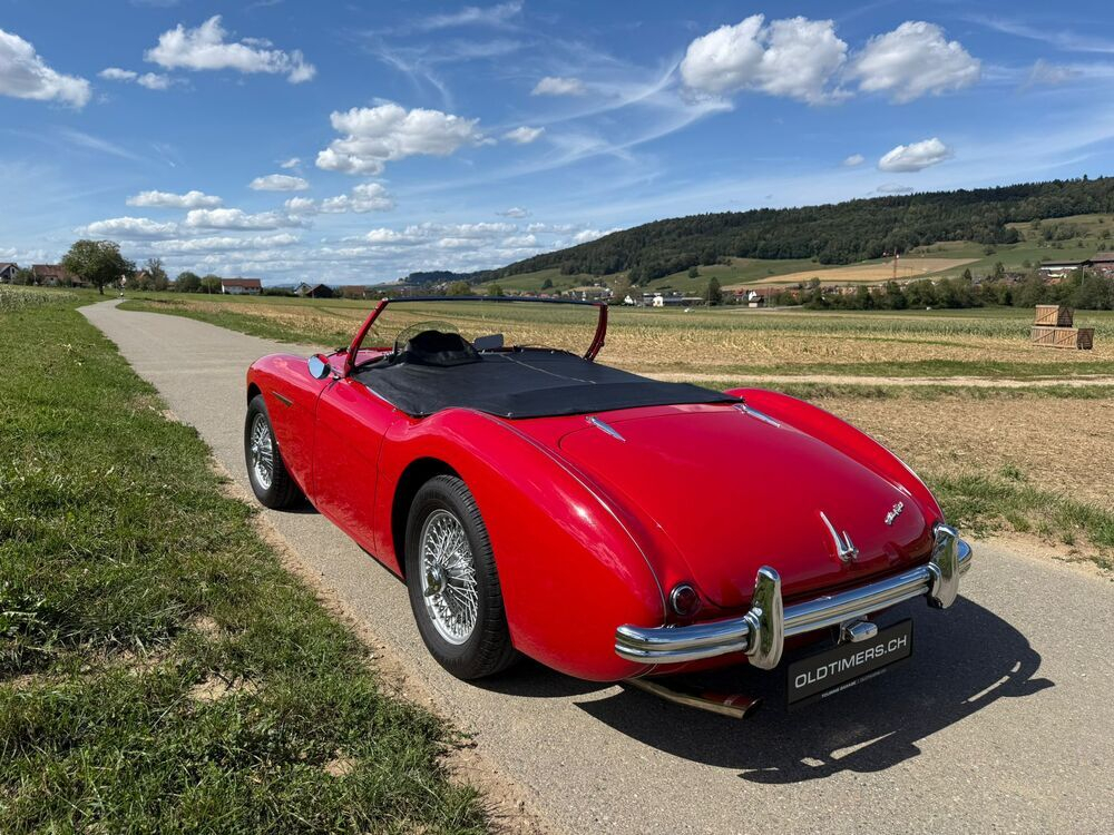 Austin Healey 100/4 BN1 – M-Spezifikation Cabriolet