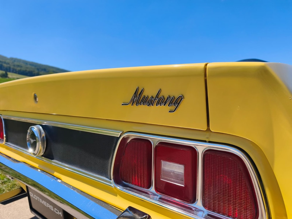 Ford (USA) Mustang Cabriolet