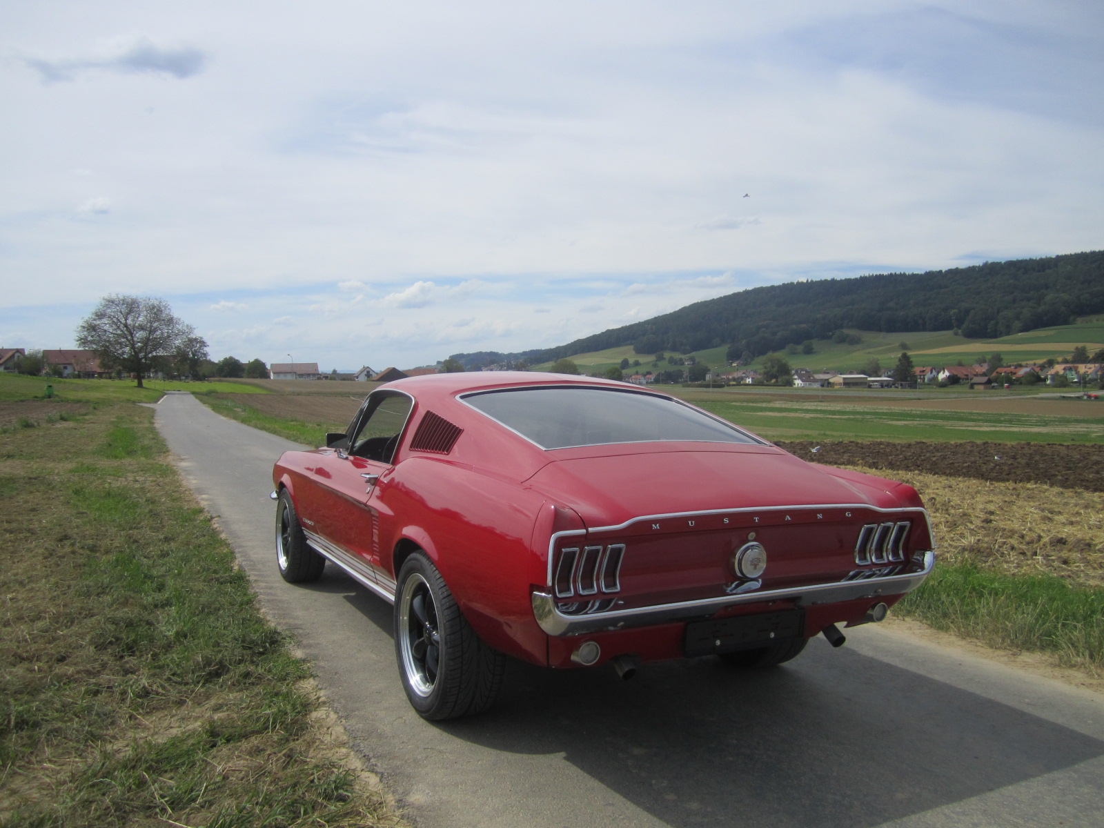 Ford (USA) Mustang Fastback Coupé