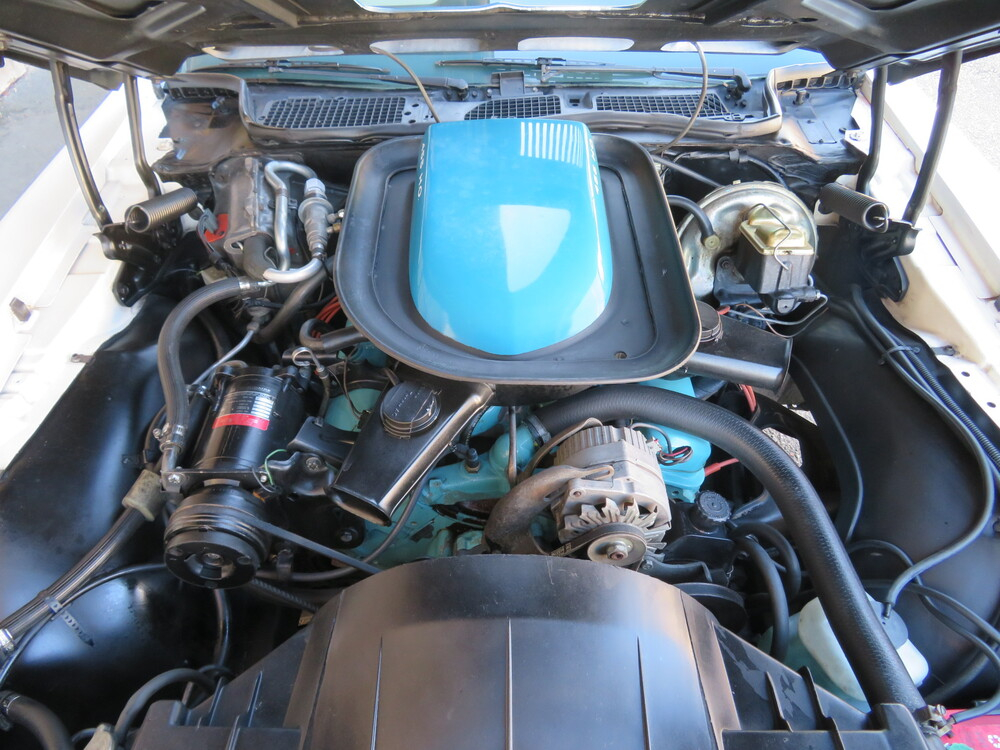 Pontiac Firebird Trans Am 455 H.O. Coupé